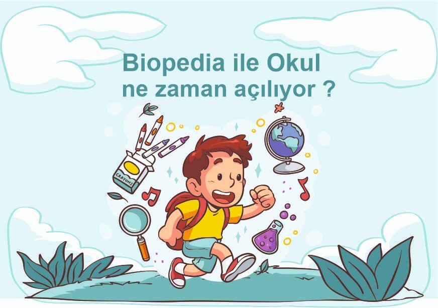 🏫 2025 Okullar Ne Zaman Açılacak? MEB Takvimine Göre Eğitim Dönemi Başlangıç Tarihi